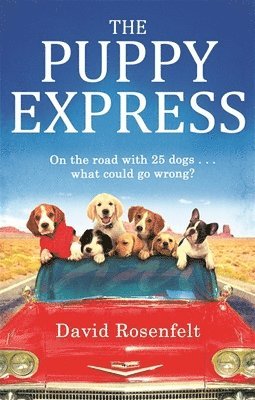David Rosenfelt - Puppy Express, Häftad