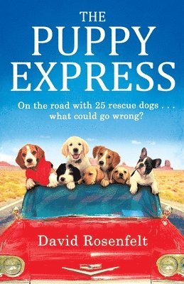 David Rosenfelt - Puppy Express, Häftad