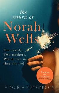 bokomslag The Return of Norah Wells