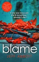 bokomslag Blame: The addictive psychological thriller that grips you to the final twist