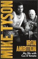 bokomslag Iron Ambition