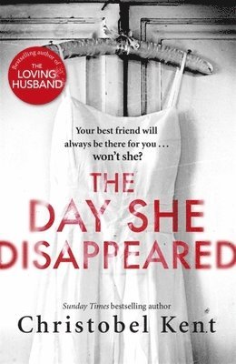 Day She Disappeared