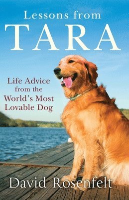 David Rosenfelt - Lessons from Tara, Häftad
