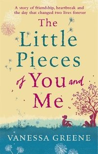 bokomslag The Little Pieces of You and Me
