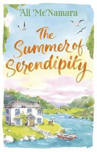 bokomslag The Summer of Serendipity
