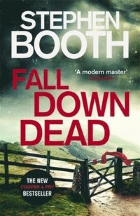 bokomslag Fall Down Dead