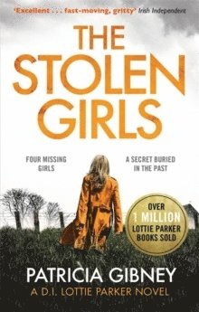 Patricia Gibney - Stolen Girls, Häftad