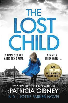 Patricia Gibney - Lost Child, Häftad