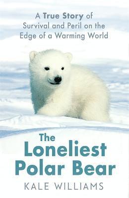 The Loneliest Polar Bear 1