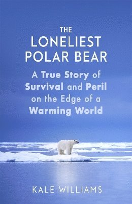 The Loneliest Polar Bear 1