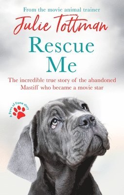 Rescue Me 1