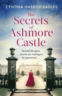 bokomslag The Secrets of Ashmore Castle