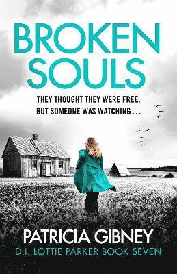 Patricia Gibney - Broken Souls, Häftad