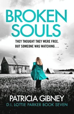 Patricia Gibney - Broken Souls, Häftad