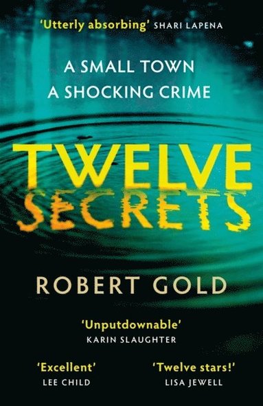 bokomslag Twelve Secrets