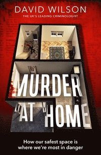 bokomslag Murder at Home