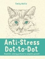 bokomslag Anti-Stress Dot-to-Dot: Beautiful, Calming Pictures to Complete Yourself