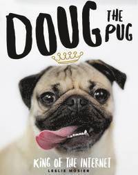 bokomslag Doug The Pug