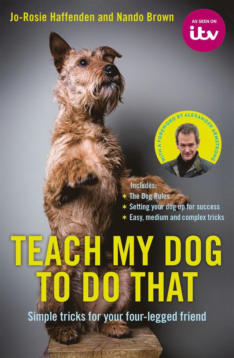Jo-Rosie Haffenden, Nando Brown - Teach My Dog To Do That, Inbunden