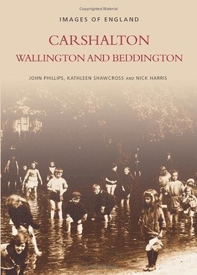 John Phillips, Kathleen Shawcross, Nick Harris - Carshalton, Wallington and Beddington, Häftad