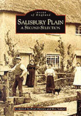 bokomslag Salisbury Plain