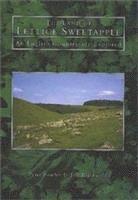 bokomslag The Land of Lettice Sweetapple