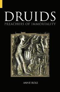 bokomslag Druids