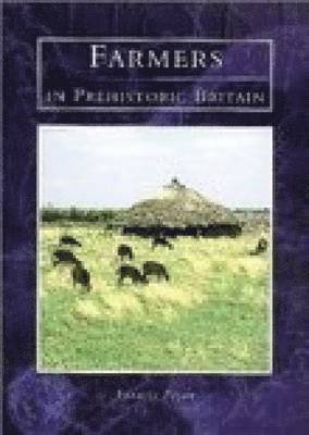 bokomslag Farmers in Prehistoric Britain