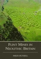 bokomslag Neolithic Flint Mines in Britain
