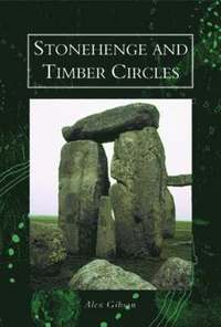 bokomslag Stonehenge and Timber Circles