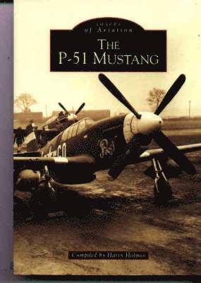 P-51 Mustang 1
