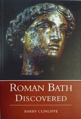 Roman Bath Discovered 1