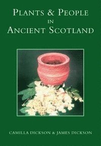 bokomslag Plants and People in Ancient Scotland