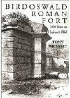 Birdoswald Roman Fort 1