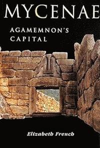 bokomslag Mycenae: Agamemnon's Capital