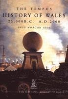 bokomslag Tempus History of Wales