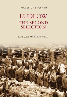 bokomslag Ludlow The Second Selection