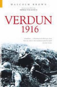 bokomslag Verdun 1916