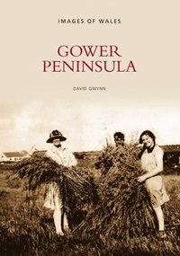 bokomslag Gower Peninsula