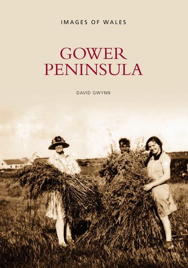 David Gwynn - Gower Peninsula, Häftad