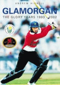 bokomslag Glamorgan: The Glory Years 1993-2002