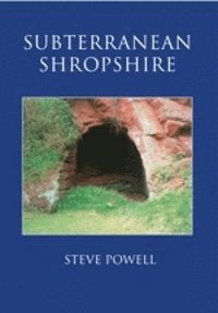 bokomslag Subterranean Shropshire