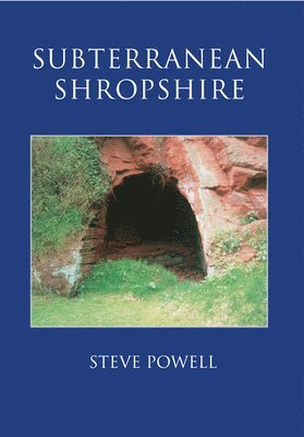 bokomslag Subterranean Shropshire