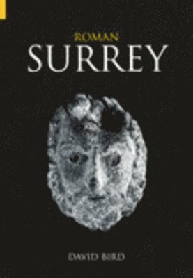 bokomslag Roman Surrey