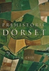 bokomslag Prehistoric Dorset