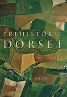 bokomslag Prehistoric Dorset