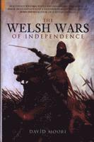 bokomslag The Welsh Wars of Independence