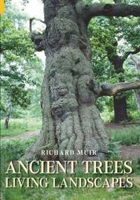 bokomslag Ancient Trees, Living Landscapes