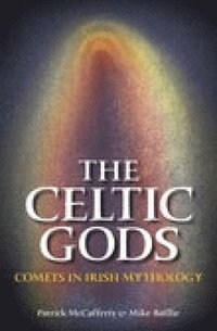 bokomslag The Celtic Gods