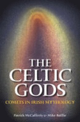 bokomslag The Celtic Gods